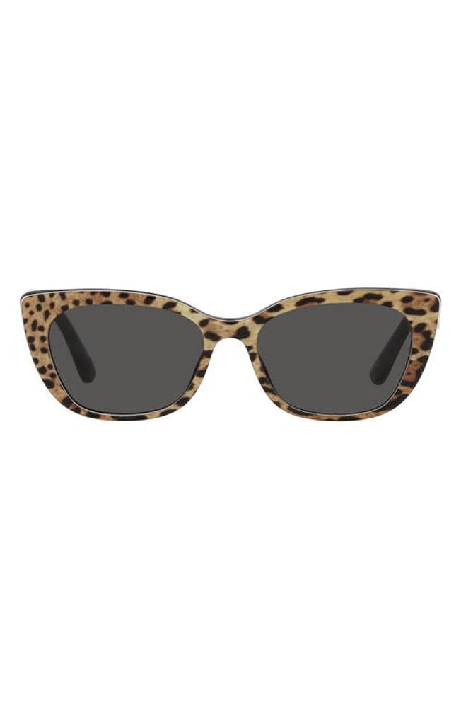 Dolce & Gabbana 49mm Small Cat Eye Sunglasses in Dark Grey at Nordstrom