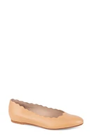 patricia green Palm Beach Scalloped Ballet Flat at Nordstrom,