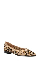 Bella Vita Mireya Knit Flat Leopard at Nordstrom,