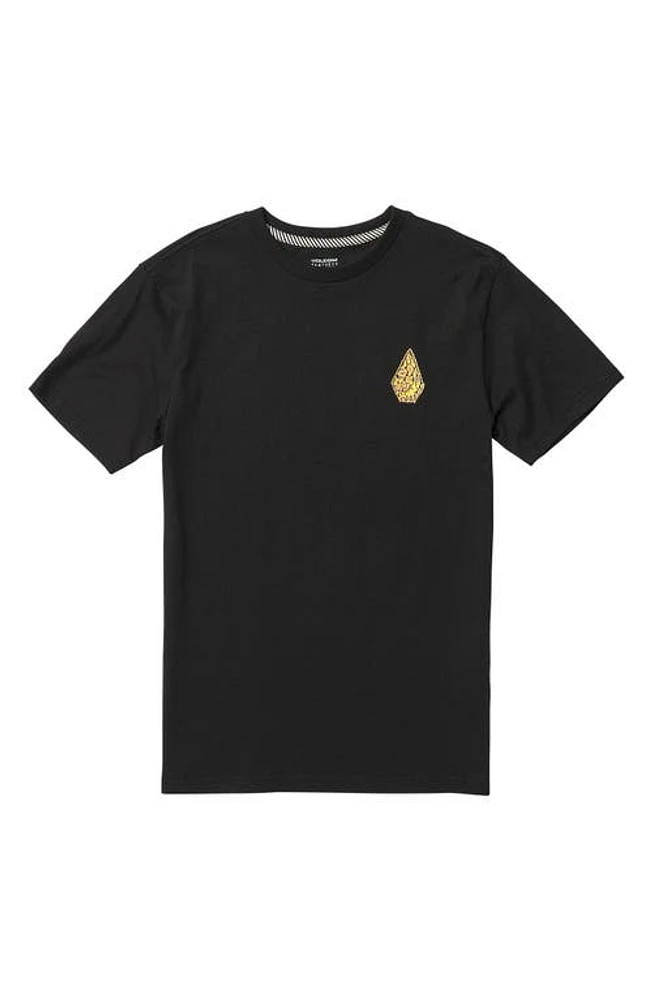 Volcom Kids' Tetsunori Graphic T-Shirt in Black at Nordstrom, Size Xl