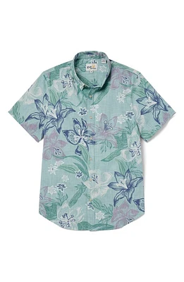 Reyn Spooner Stargazer Tailored Fit Short Sleeve Button-Down Shirt at Nordstrom,