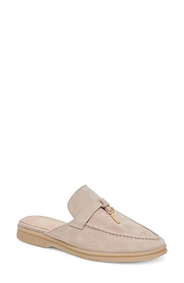 Dolce Vita Lasail Mule Suede at Nordstrom,