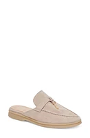 Dolce Vita Lasail Mule Suede at Nordstrom,