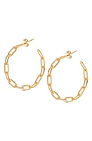 SHYMI Sherry Link Hoop Earrings in Gold at Nordstrom