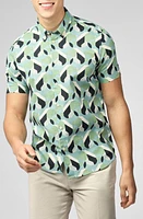 Ben Sherman Art Deco Print Short Sleeve Button-Down Shirt in Grass Green at Nordstrom, Size X-Large