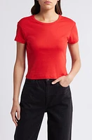 AllSaints Stevie Crop Cotton Rib T-Shirt at Nordstrom, Us