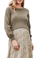 Angel Maternity Sylvie Cotton Maternity Sweater in Olive at Nordstrom, Size X-Large