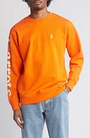 CARROTS BY ANWAR Wordmark Long Sleeve Cotton Graphic T-Shirt at Nordstrom,