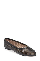 Chloé Marcie Ballet Flat at Nordstrom,