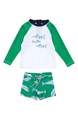 Snapper Rock Reef Shark Two-Piece Rashguard Swimsuit Green at Nordstrom,