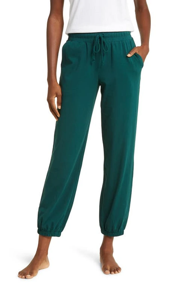 Honeydew Intimates Mantra Organic Cotton Drawstring Joggers at Nordstrom,