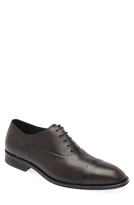 BOSS Derrek Cap Toe Oxford Dark Brown at Nordstrom,