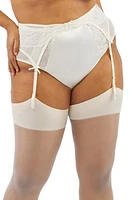 Playful Promises Ellery Lace & Mesh Garter Belt Rose at Nordstrom, Us