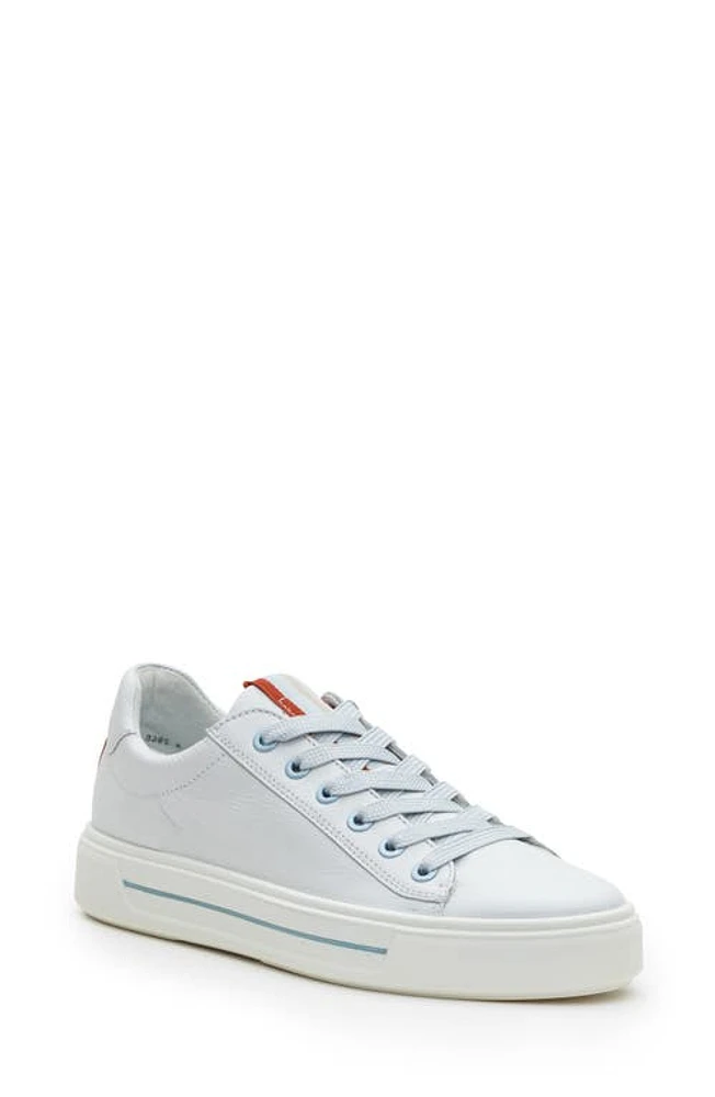 ara Camden Sneaker White Cervocalf at Nordstrom,