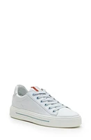 ara Camden Sneaker White Cervocalf at Nordstrom,