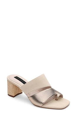 Sanctuary Brisk Slide Sandal Beige Bronze/Sand Dollar at Nordstrom,