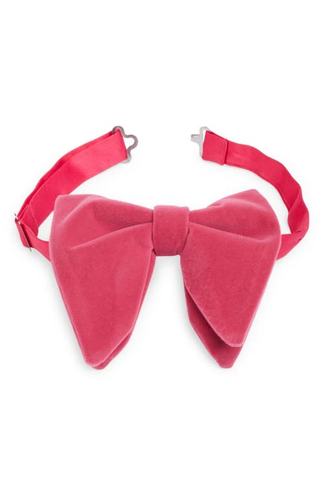 CLIFTON WILSON Silk Velvet Bow Tie in Pink at Nordstrom