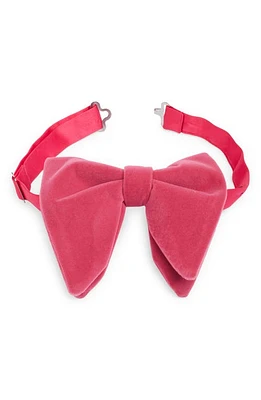 CLIFTON WILSON Silk Velvet Bow Tie in Pink at Nordstrom