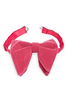 CLIFTON WILSON Silk Velvet Bow Tie in Pink at Nordstrom