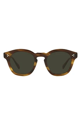 Oliver Peoples Boudreau LA 48mm Sunglasses in Dark Brown at Nordstrom