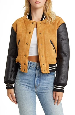 BLANKNYC Faux Suede & Faux Leather Bomber Jacket in Booksmart at Nordstrom, Size X-Small