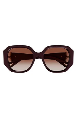 Chloé 56mm Square Sunglasses in Burgundy at Nordstrom