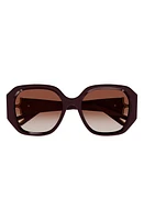 Chloé 56mm Square Sunglasses in Burgundy at Nordstrom