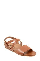 SoftWalk Cali Sandal Luggage at Nordstrom,