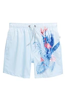 Vintage Summer Kids' Stretch Water Repellent Swim Trunks Blue at Nordstrom,