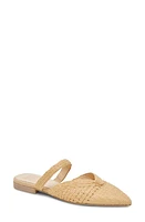 Dolce Vita Kaline Raffia Pointed Toe Mule at Nordstrom,