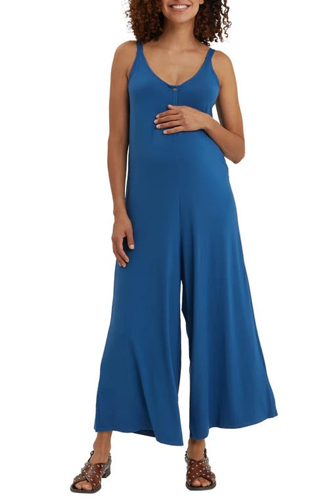 Nom Maternity Chelsea Wide Leg Maternity/Nursing Jumpsuit Dusk Navy at Nordstrom,