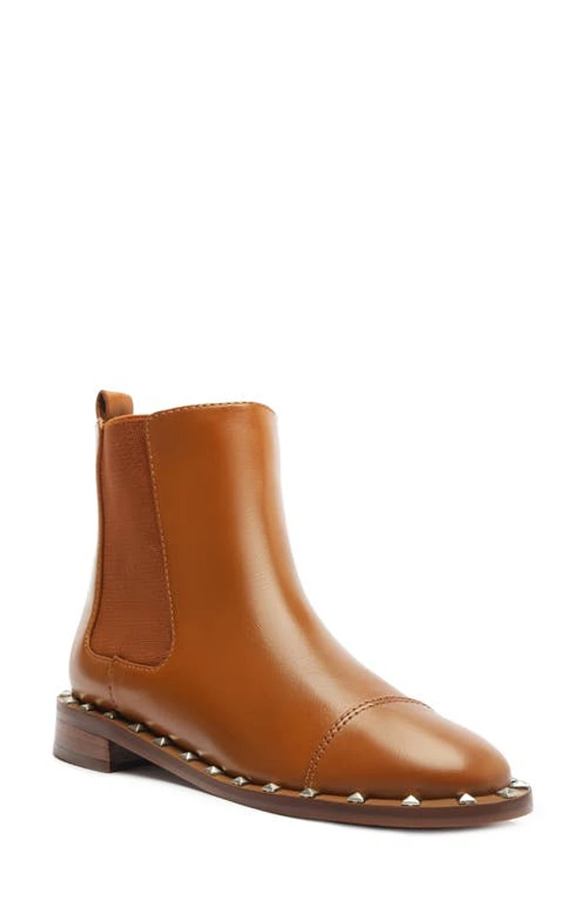 Schutz Tanner Studded Chelsea Boot Dark Caramel Leather at Nordstrom,