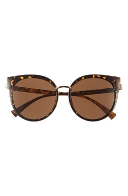 BP. 55mm Cat Eye Sunglasses in Tort- Gold at Nordstrom