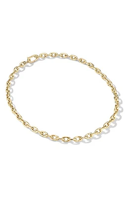 Cast The Baby Brazen Chain Necklace in Gold at Nordstrom, Size 17