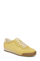 Sam Edelman Isabel Sneaker at Nordstrom,