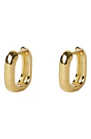 Argento Vivo Sterling Silver Oblong Huggie Hoop Earrings in Gold at Nordstrom