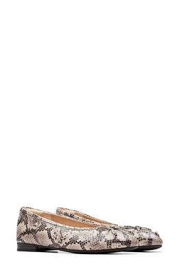 Clarks(r) Fawna Lily Ballet Flat Beige Snake Print at Nordstrom,