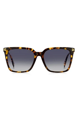 Marc Jacobs 55mm Square Sunglasses in Havana/Grey Shaded Blue at Nordstrom