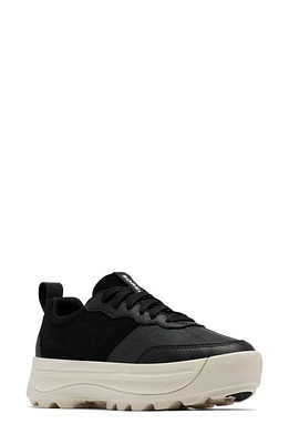 SOREL Ona 503 Low Top Platform Sneaker at