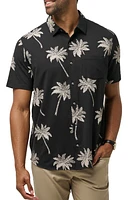 TravisMathew Safari Sun Palm Tree Print Short Sleeve Stretch Button-Up Shirt Black at Nordstrom,