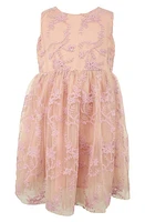 Popatu Kids' Embroidered Overlay Tulle Dress Blush at Nordstrom,