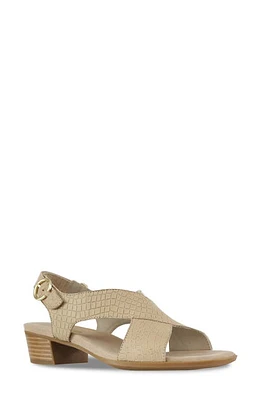 Munro Jenny Sandal Tan Croc Nubuck at Nordstrom,