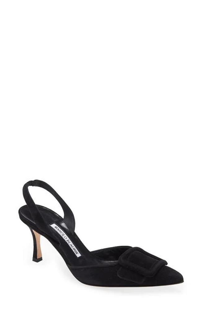 Manolo Blahnik Maysli Buckle Slingback Pointed Toe Pump Black at Nordstrom