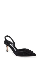 Manolo Blahnik Maysli Buckle Slingback Pointed Toe Pump Black at Nordstrom