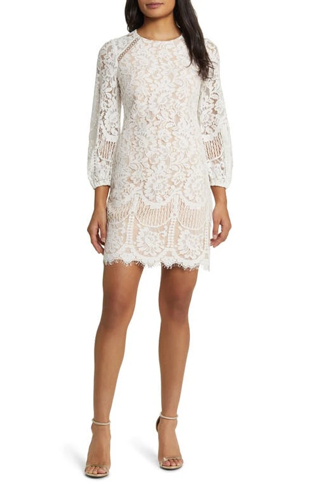 Vince Camuto Raglan Long Sleeve Lace Dress Ivory Beige at Nordstrom,