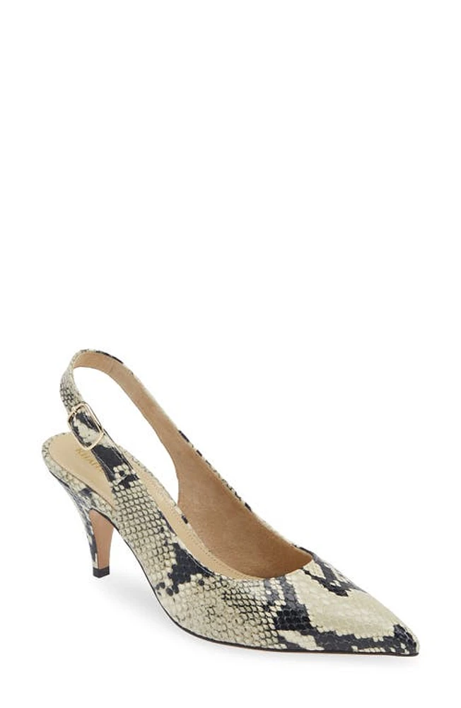 Khaite River Snakeskin Embossed Pointed Toe Slingback Pump Natural at Nordstrom,