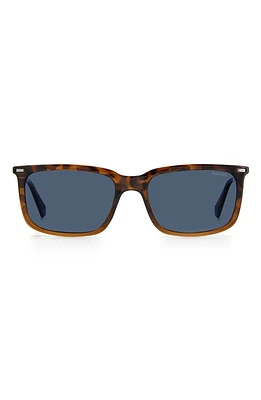 Polaroid 55mm Polarized Rectangular Sunglasses in Havana Brown /Blue Polar at Nordstrom