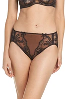 Dita Von Teese Savoir Faire Sheers High Cut Briefs Black/Copper at Nordstrom, Us