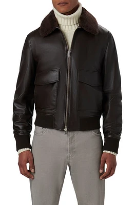 Bugatchi Leather Bomber Jacket with Removable Genuine Shearling Collar Truffle at Nordstrom,