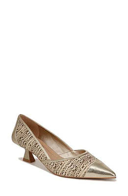 Franco Sarto Darcy Pointed Toe Kitten Heel Pump Gold Multi at Nordstrom,